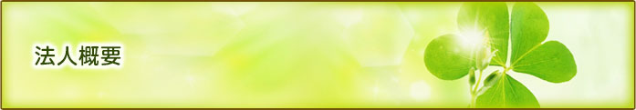 法人概要